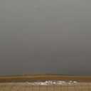 LazBlinds No Tools No Drill Cordless Bamboo Roman Shades, Light Filtering Window Treatment, Roll Up Bamboo Blinds for Windows 35'' W x 72'' H, Brown