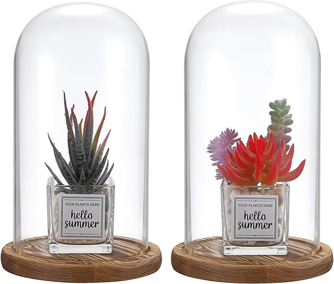 JUXYES Pack of 2 Glass Display Dome Cloche with Solid Wood Base, Clear Dome Bell Terrarium Jar Glass Cloche Bell Jar Display for Plants Collectible Figure