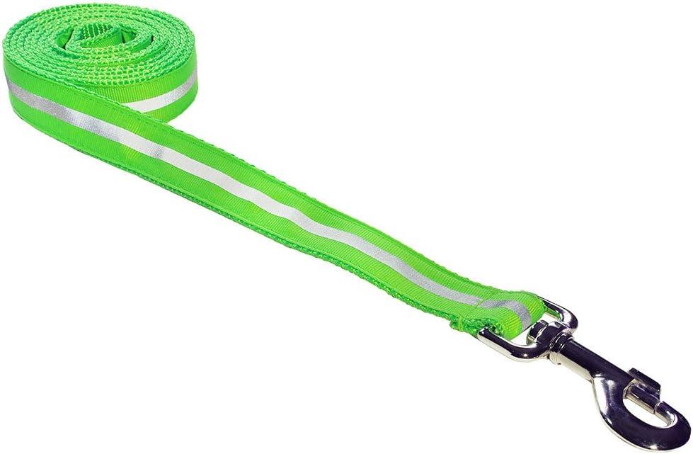 Small Reflective Green Dog Leash: 3/4" Wide, 4ft Length - Made in USA 