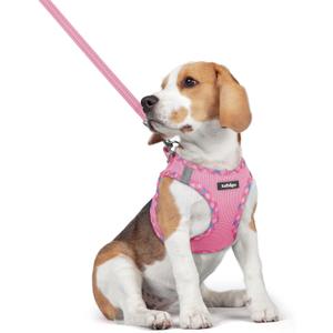 rabbitgoo Dog Harness Small Medium Sized and Leash Set, Step in Soft Light Puppy Vest, Breathable Mesh Pet Harness, Reflective for Safe Easy Walking, Pink & Plaid Trim L (L (Chest: 18.2 - 20.5"))