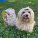 Small Breed Organic Turkey & Oats (EXP 04/11/26)
