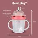 TUM TUM Tippy Up Free Flow Sippy Cup (No Valve), Sippy Cup for Toddlers, BPA Free (Betsy Bear 200ml)