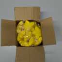 24pcs Star Stress Balls, Mini Foam Squeeze Balls, Yellow Anxiety Relief Toys for School Rewards, Carnival Prizes, Party Favors, Hand Exercise