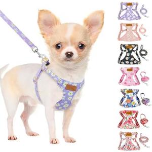 SlowTon Dog Harness Small Sized Dog - Soft XXS Dog Harness and Leash Set No Pull No Chock, Adjustable Lightweight Puppy Harness for XS Small Dogs Cats (Purple Dasiy, XXS)