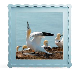 12x12 Picture Frame with Mat for 10x10, Wavy Edge Wooden Real Glass Photo Frame for Wall Hanging, Blue, 1 Pack