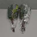 64 PCS Artificial Greenery Stems,Silver Dollar Eucalyptus Stems with 384 Eucalyptus Leaves White Seed Branches for Flower Arrangements,Wedding Bouquets