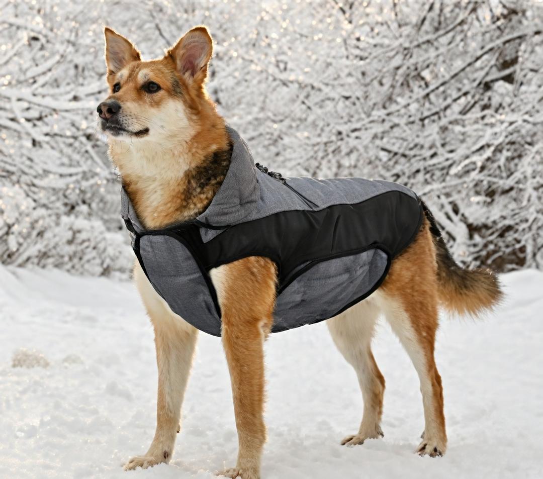 Dog Coat, Water-Resistant Dog Clothes, Warm Fleece Lining Dogs Coats, Winter Windproof Dogs Jackets with Reflective, Pet Vest for Small Pets - 1 PCS (S ( 7-15 LB | 12.59"Neck Girth ))Grey