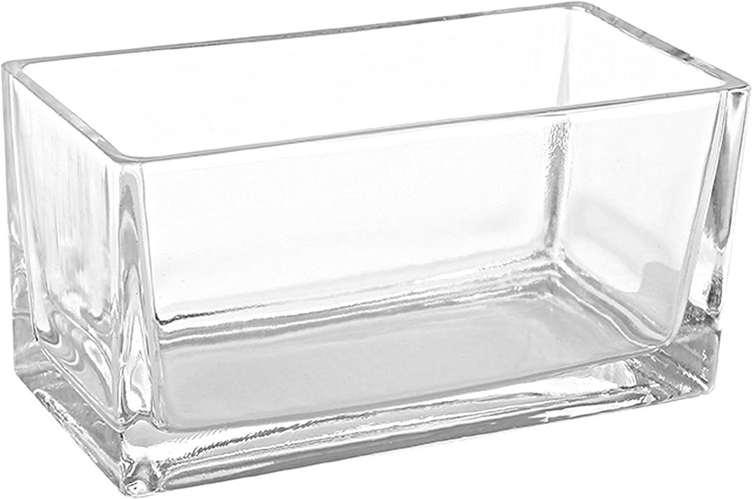 MyGift 7.8 inch Modern Rectangular Glass Vase, Trough Planter, Tabletop Glass Terrarium (Clear)