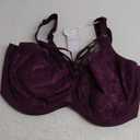 Elomi Women's Brianna Strappy Underwire Plunge Bra (38H, Blackberry)