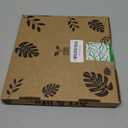 DIY Terrarium Kit for Plants  Build a SelfSustaining Closed Ecosystem  Supplies for Up to68 oz(12Liter)  Succulents, AirPlants(Tillandsia), Fern  Jar Not Included