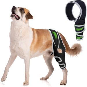 Dog Knee Brace for Torn ACL, Front Leg Shoulder Support for Active or Senior Dogs, Helps Reduce Joint Injury Risk – Size L