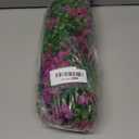 Artificial Fake Hanging Flowers Plants for Outdoor Spring Decoration,2 PCS Faux Silk Daisy with Eucalyptus Leaves,UV Resistant Look Real for Outside Home Indoor Planter Porch Patio Balcony Yard Decor (Purple Red Light Purple)