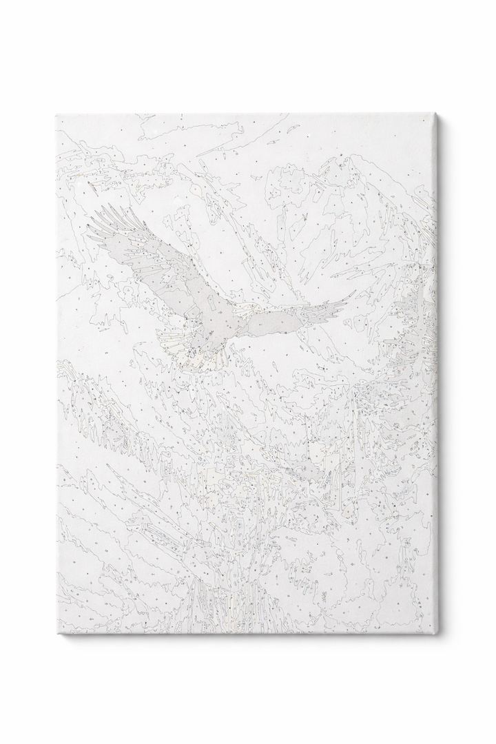 Paint by numbers,19,7x15,7 inch