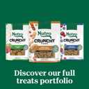 2 x Nutro Crunchy Dog Treats with Real Apple, 10 oz.Bag
