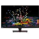 Lenovo 32" ThinkVision 4K UHD IPS 60Hz Monitor,