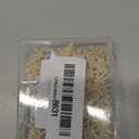 100 Pcs Small Starfish Star Sea Shell Beach for Craft 0.4"-1"