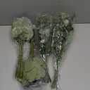 110 Pcs 7 Kinds Mixed Artificial Eucalyptus Stems and Faux Flowers,Fake Silver Dollar Eucalyptus Leaves Stems Bulk Real Touch Leaf Branches for DIY Bouquets Floral Arrangement Wedding Home Decor (Green)