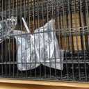 M MZG Garage Shelving 5 Tier Industrial Metal Shelving Units for Commercial, Basement, Pantry, Warehouse, School, Black Heavy Duty Easy Assembly 23.6" D x 53.2" W x 73.6" H