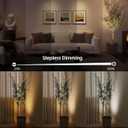 EZVALO 3-Pack Spotlight Indoor, Rechargeable Battery Picture Lights, Wireless Uplights with Remote, Dimmable, 3 Color Temperatures, Timer, Accent Lighting for Plants, Trees, Art, Displays