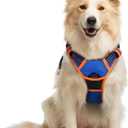 rabbitgoo Dog Harness No Pull with 2 Leash Clips, Adjustable Soft Padded, Reflective Oxford No Choke Pet Vest with Easy Control Handle for Medium Sized Dogs, Blue & Orange, M