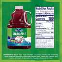 Ocean Spray Cran-Apple Cranberry Apple Juice Drink, 101.4 Fl Oz Bottle (Pack of 1) (EXP 04/21/27)