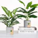 Der Rose 2 Pack Fake Plants Artificial Tropical Faux Plants Indoor for Office Desk Home Sage Green Decor