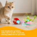 2 x Interactive Cat Toys for Indoor Cats, Motion Activate Ca t Toy, Smart Kitten Rolling Ball Moving Ball Toys, Rechargeable Cat Ballfor Enrichment Exercise(Red)