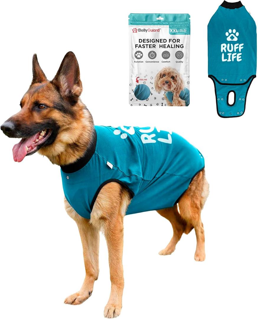 BellyGuard Recovery Suit for Dogs, Comfy Dog Surgery Suit, Female Spay and Male Neuter Onesie for Post-Op Care (XX-Large, Blue)