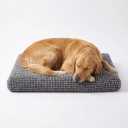 Muddy Mat Dog Crate Bed mat, Comfortable Dog Pillow, Crate Bed for Large Medium Small Dogs and Cats, Ultra Soft & Relaxing Washable & Dryer Safe Chenille Material Medium (23"x36")