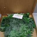 60Pcs Fake Nandina Greenery Stems 18" Artificial Silk Greenery Leaves for DIY Bouquet Filler Table Centerpieces Decor