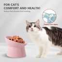 Raised Ceramic Cat Food Bowl - Elevated Base, Tilted, Anti Vomit - Whisker Friendly Shallow Wide Feeding Bowl - Microwave and Dishwasher Safe
