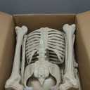 JOYIN 5 FT Halloween Skeleton Life Size, Stayable Posable Skeleton Decor, Full Body Movable Joints Giant Skeletons for Halloween Decoration Outdoor, Haunted House Prop, Spooky Scary Graveyard Party