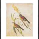 11x14 Picture Frame, Black Modern Aluminum Metal Photo Frame with HD Glass, Fits 8x10 with Mat or 11 x 14 without Mat, Vertical and Horizontal Wall Mounting, 1 Pack