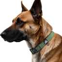 Heavy Duty Dog Collars for Medium and Large Dogs - Adjustable, Chew Proof Nylon Collar with Metal Quick Release Buckle and D-Ring for Dog Tags (Dark Green, M) (M(1''Width, Fit 11''-15''))
