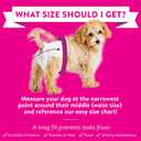 Bodhi Dog Disposable Female Dog Diapers - Super Absorbent Dog Diapers for Female Heat Cycle - Adjustable Fit Pee Wraps for Potty Training, Moisture Control & Wetness Indicator - Extra Small (20 Count)