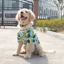 HDKUW Large Dog Hawaiian Costume, Dog's Cool T-Shirts Summer Clothes, Hawaiian Shirt for Large Dogs, Design for Summer Luau Style Beach Camp Vacation 4XL Green