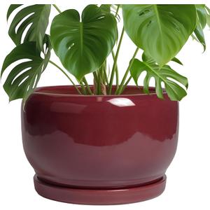 SQOWL Ceramic Pot for Plants - 10 Inch Indoor Planter with Drainage Hole and Saucer, Round Modern Planter Outdoor, Decorative Large Plant Pot for Flower, Living Room Decor, Garden Gifts, Red