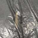 Mohawk Home Entryway Door Mat 2' X 3' All Weather Outdoor Non Slip Recycled Rubber Doormat, Natural Spirit Light Brown