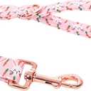 ARING PET Easter Dog Leash, Cute Rabbit Dog Leashes Matching Dog Collars, Cotton Handmade Walking Carrots Dog Leash for Small Medium Large Dogs and Cats