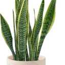 5 inch Plant Pot - Terra Cotta Flower Planters Indoor - Modern Succulents Containers with Drain Hole & Saucer, Decorate Home, Office & Outdoor (Pink)