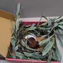 Hairui Lighted Artificial Olive Garland 6FT 96 LED Fairy Lights Battery Operated, Faux Vine Lights with Timer for Spring Christmas Holiday Fireplace Decoration