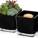 Square Glass Vase, 5" x 5" Black Cube Glass Vases Floral Planter Centerpiece for Home Party Event Wedding, Candle Holder, Set of 2