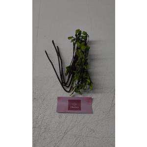 4 Pcs Artificial Ficus Branches Faux Eucalyptus Stems, 47.2 Inch Fake Greenery Stems Artificial Plants for Vase Filler Decoration, Fake Leaves Branches Centerpieces Decor