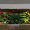 TURNMEON 20 Bundles Calla Lily (400 Heads) Artificial Flowers for Outdoors, Fake Plants UV Resistant Faux Plastic Fake Flowers for Indoor Planter Porch Gardens Home Summer Cemetery Decor(Color Mix)