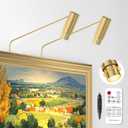 Pack of 2 Zoomable Picture Light Spotlight, Plug in LED Picture Lights for Wall 3000K Photo Frame Light with Remote Control Art Lighting for Paintings Gold Mini Accent Spotlights for Gallery