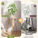 Plant Stand Indoor 2 Pack, Wood Mid Century Indoor Plant Stand, Tall Plant Stands for Flower Pot, Round Plant Table Side End Table With Raised Design, Natural Wood, 11.7"x18.8" & 11.7"x13"