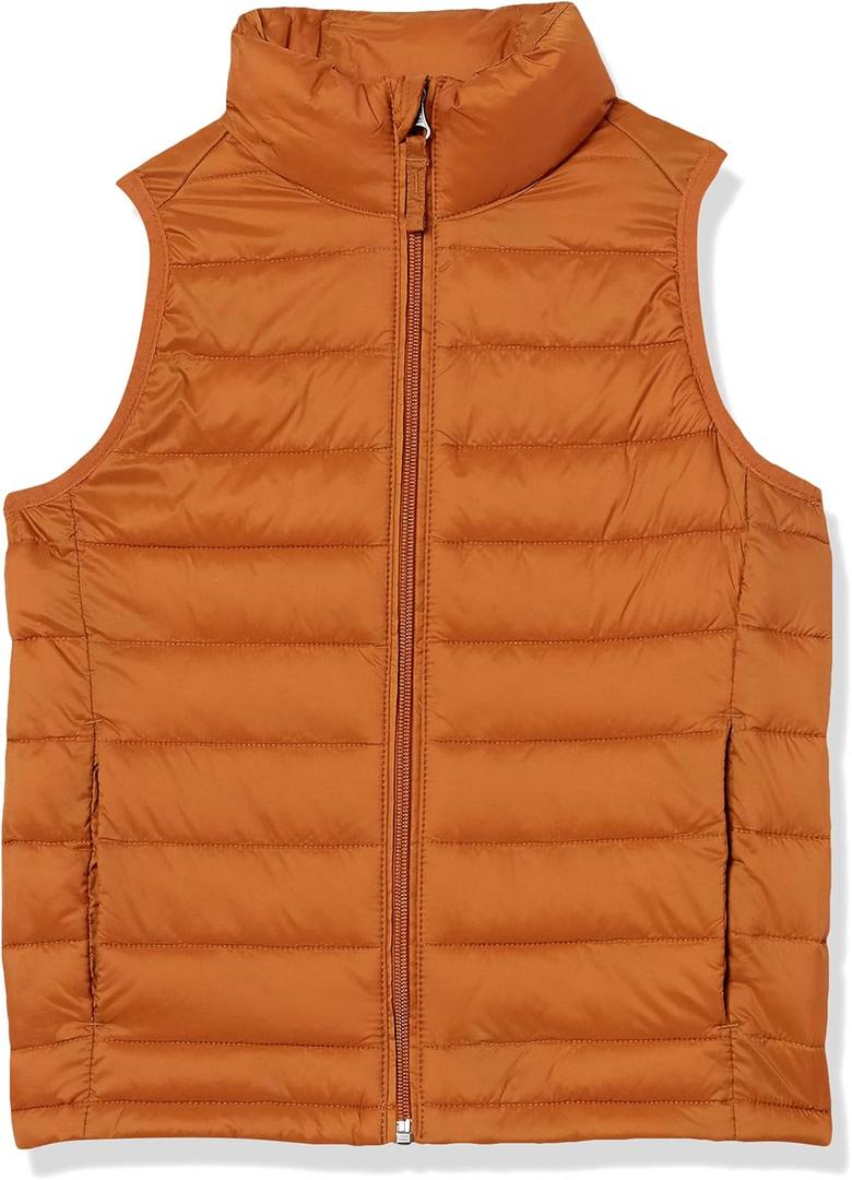 Amazon Essentials Boys and Toddlers' Lightweight Water-Resistant Packable Hooded Puffer Vest (2T)