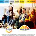 HALO RA 4 inch LED Recessed Light Trim with Adjustable Gimbal, Selectable Lumens and Selectable Color Temperature, Dim-to-Warm Feature, Damp Location Rated RA4LS9FSD2W1EWH