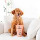 Freeze-Dried Dog Treats  Harvest Meatballs  Ground Beef, Turkey, Pumpkin, Sweet Potato & Cinnamon  Natural Treats for Small, Medium & Large Dogs  No Preservatives  7 oz Bag (1 Count (Pack of 1))