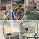 PINVNBY Parakeet Nesting Box Bird House Wood Breeding Box Parrots Mating Box for Lovebirds,Cockatoo,Budgie, Finch,Canary and Medium-Sized Birds(L)